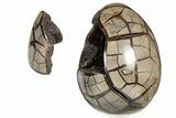 7.9" Septarian "Dragon Egg" Geode - Removable Section - #199992-3